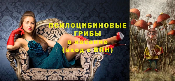 дживик Нефтекумск