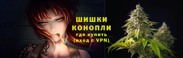 спиды Нея