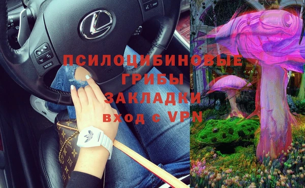 дживик Нефтекумск